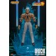King of Fighters '98: Ultimate Match Action Figure 1/12 Orochi Hakkesshu 17 cm